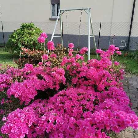 Villa Grandma'S Garden House Angera Esterno foto