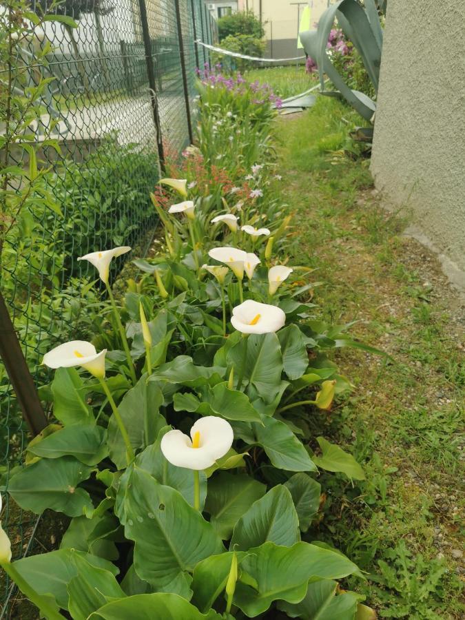 Grandma's Garden House Holiday home Angera