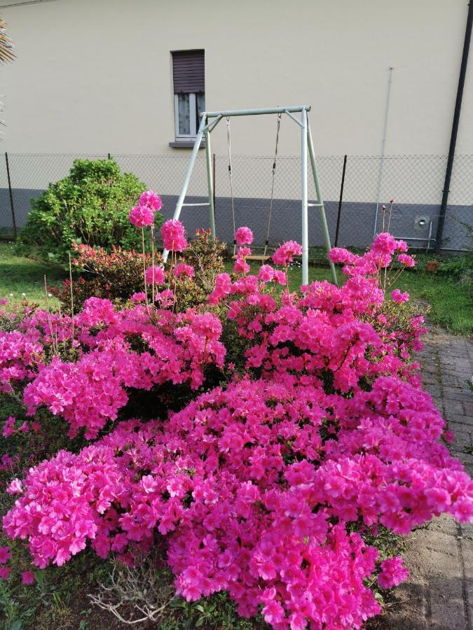 Grandma's Garden House Holiday home *